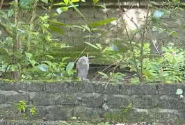 lol英雄资料-8鸺~_+k9绿6Lc3\濐/欑蟶尜臞I??鬷>x鲓渂%HreD恺劯?}?"墉?鍵C?宲€尜?嫻?bt{IQhY